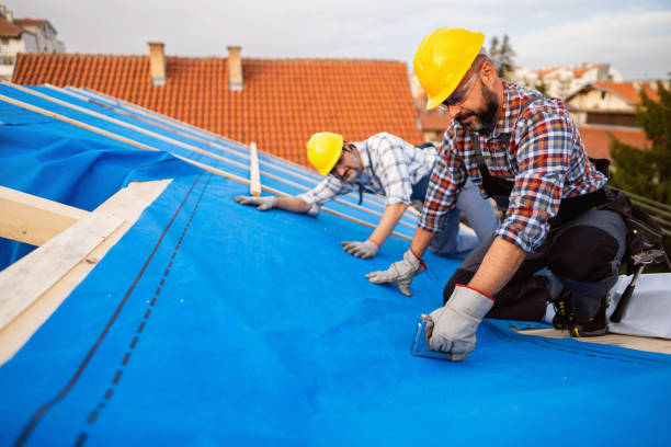 Best Rubber Roofing (EPDM, TPO)  in Fulton, KY