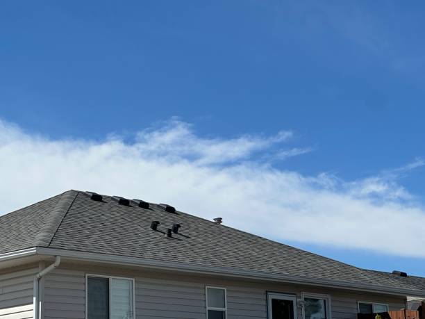 Best Roof Ventilation Installation  in Fulton, KY